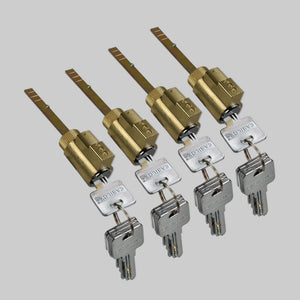 EASILOK 4*E2 Lock cylinder/cores with 20 keys  (Dimple keyway keys )