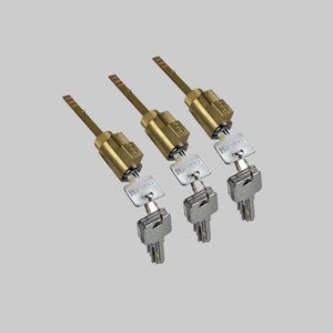 3*E2 Lock cylinder/cores